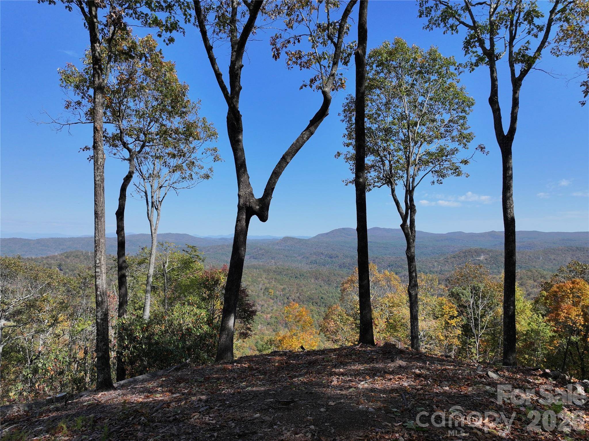 243 Ridgeline DR, Brevard, NC 28712