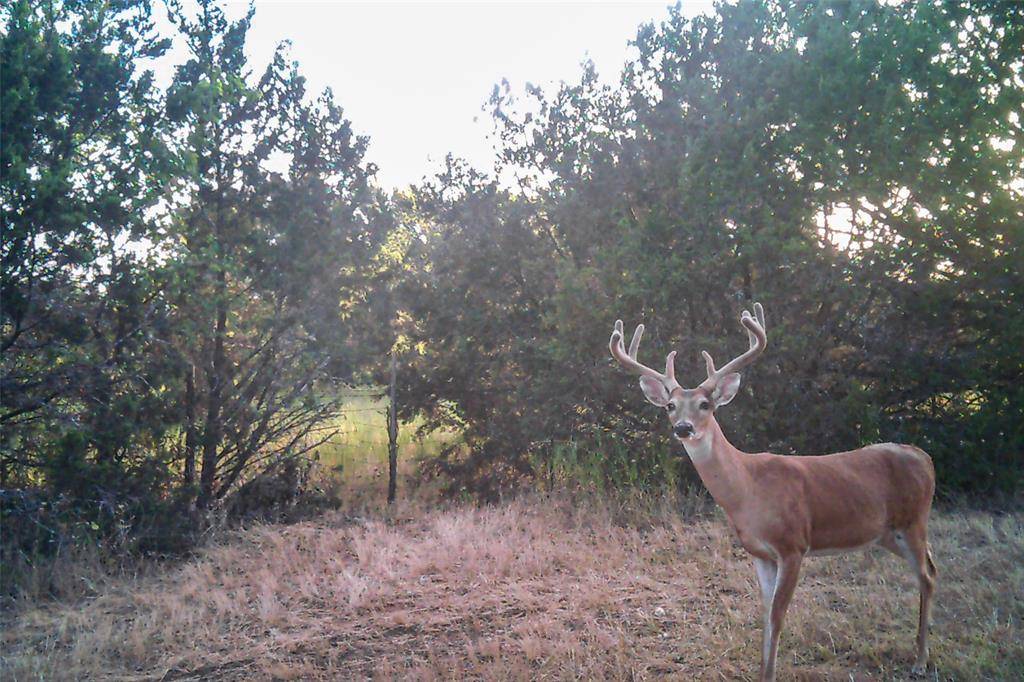 2998 Straws Mill Road, Gatesville, TX 76528