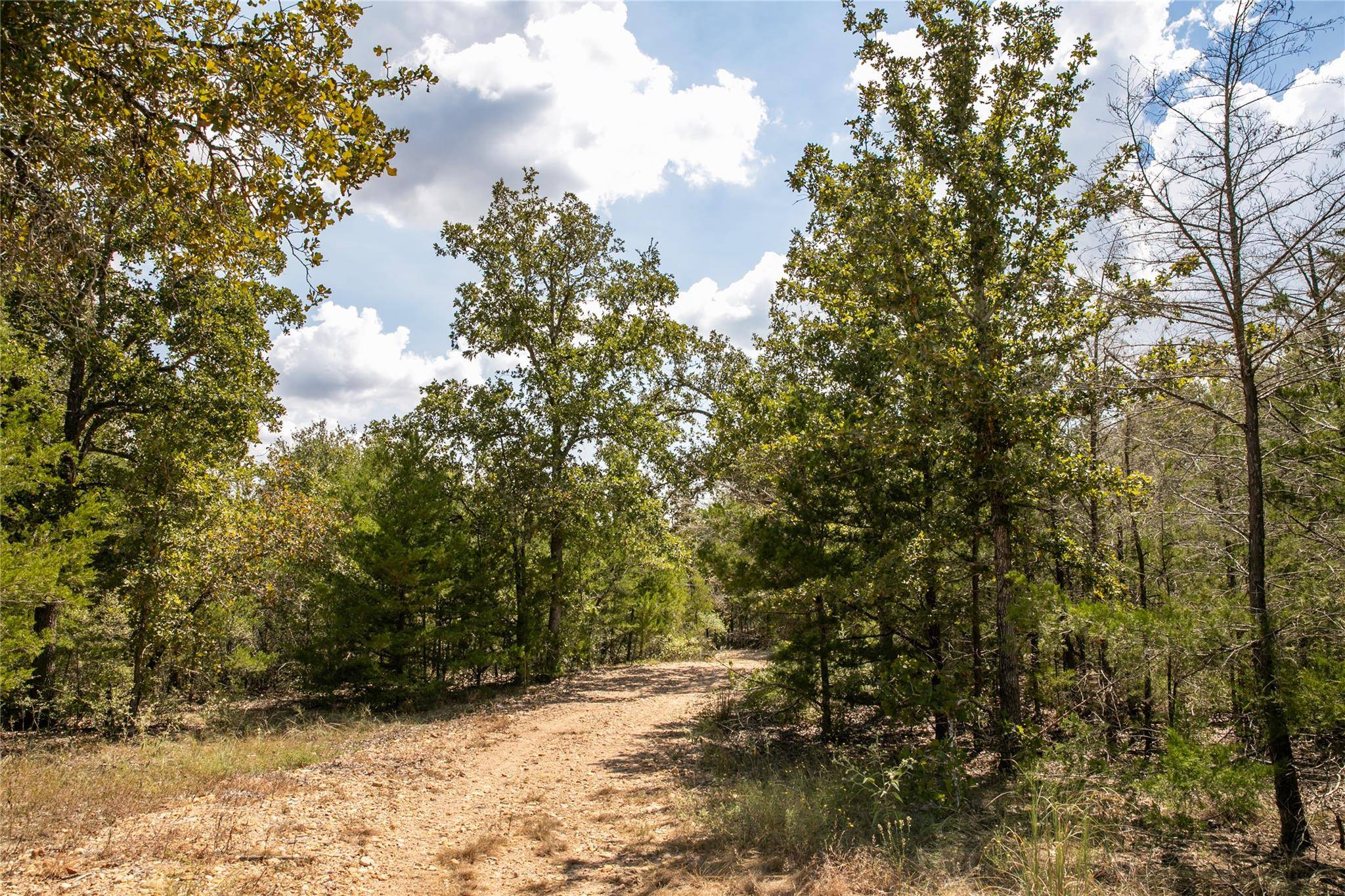 TBD FM 180, Ledbetter, TX 78946