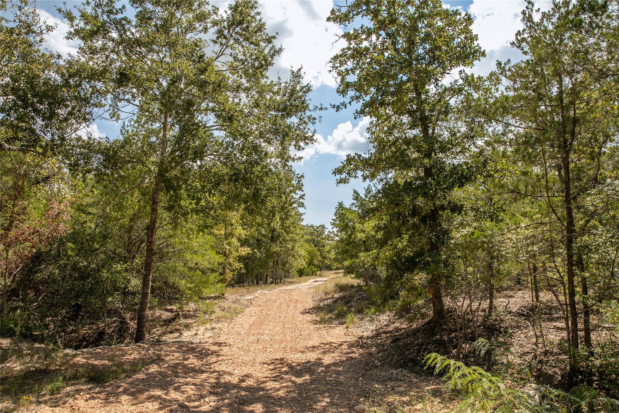 TBD FM 180, Ledbetter, TX 78946