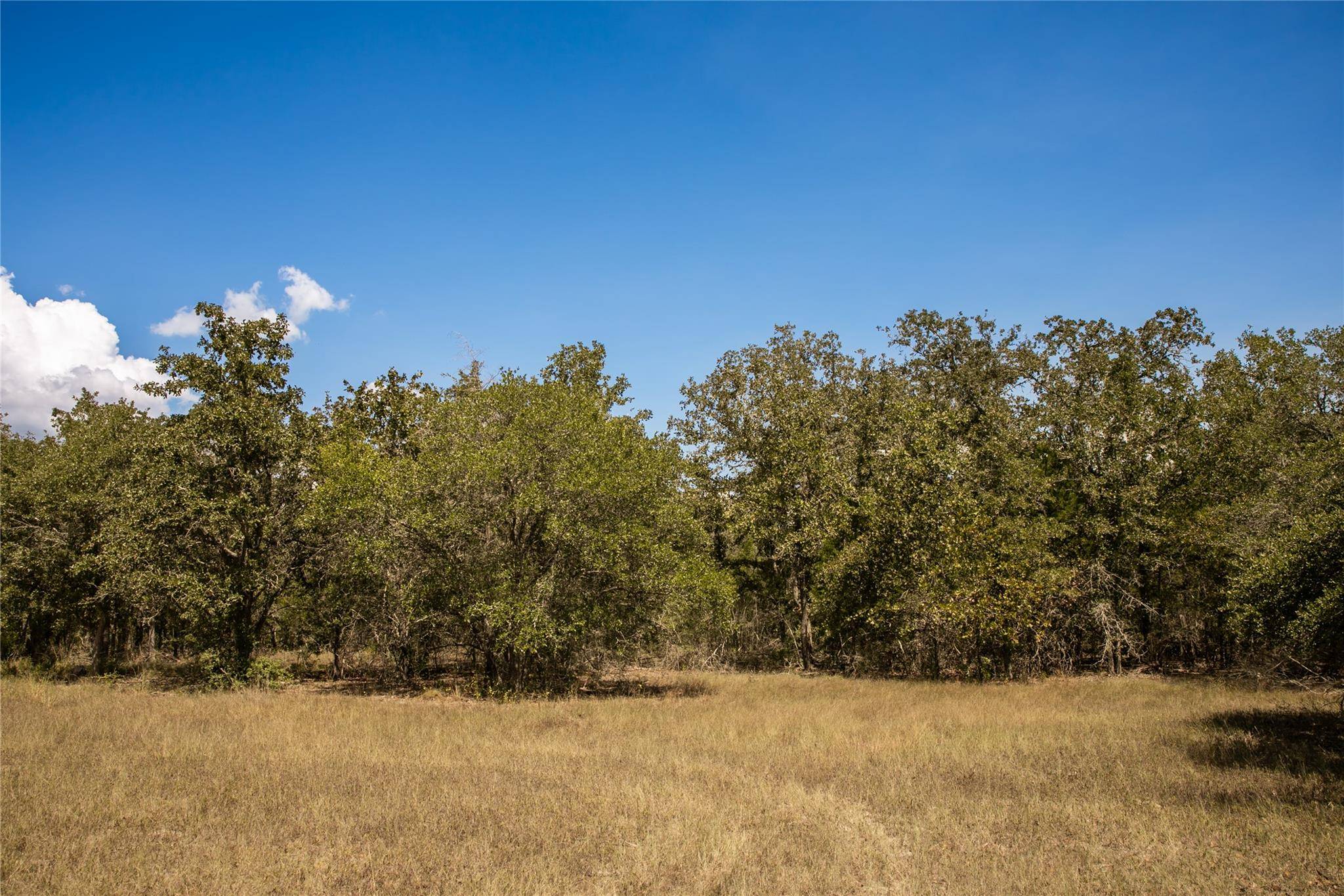 TBD FM 180, Ledbetter, TX 78946