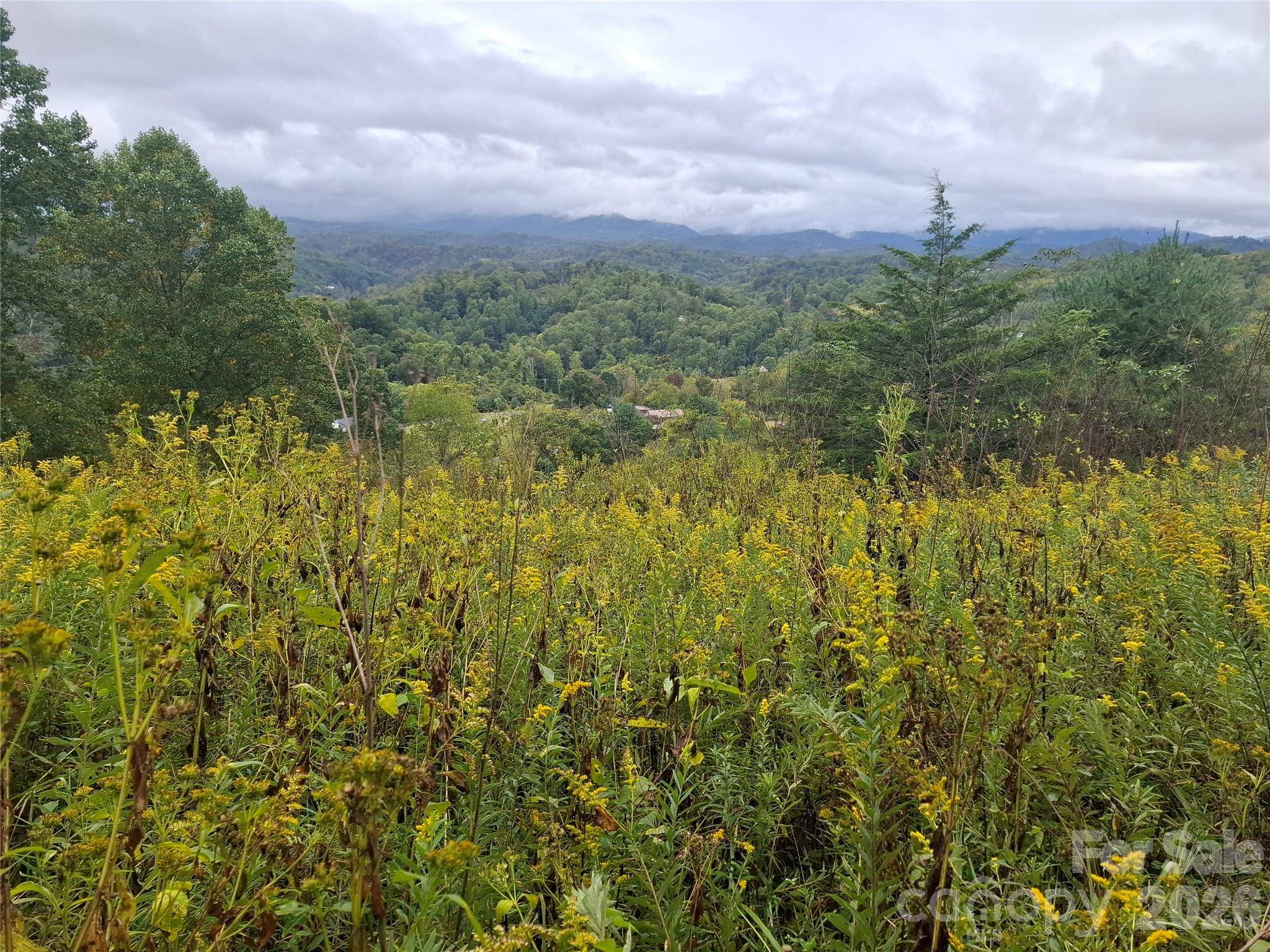 310 Sunset MTN #11, Bakersville, NC 28705