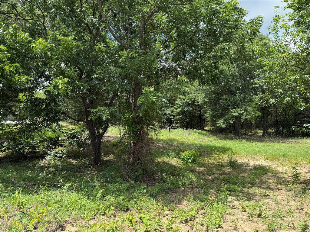 TBD 5 Slate Rock Road, Ennis, TX 75119