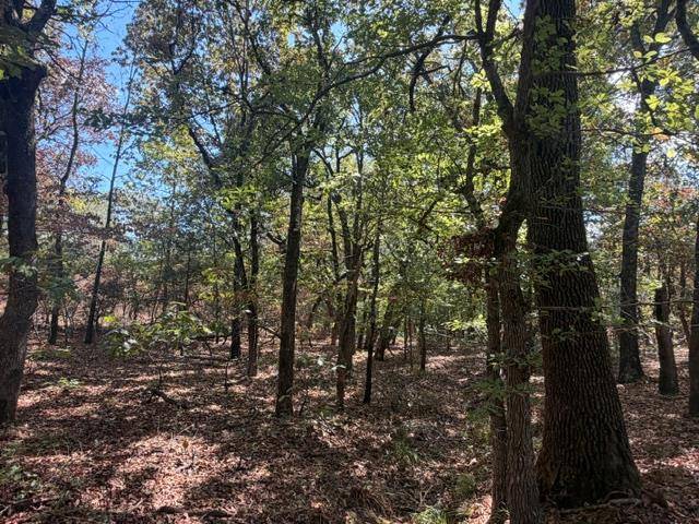 12593 S Crystal Cemetery RD, Lane, OK 74555