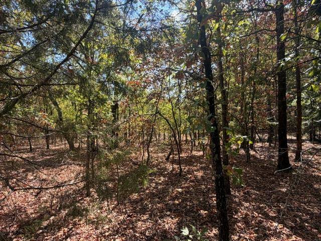 12593 S Crystal Cemetery RD, Lane, OK 74555