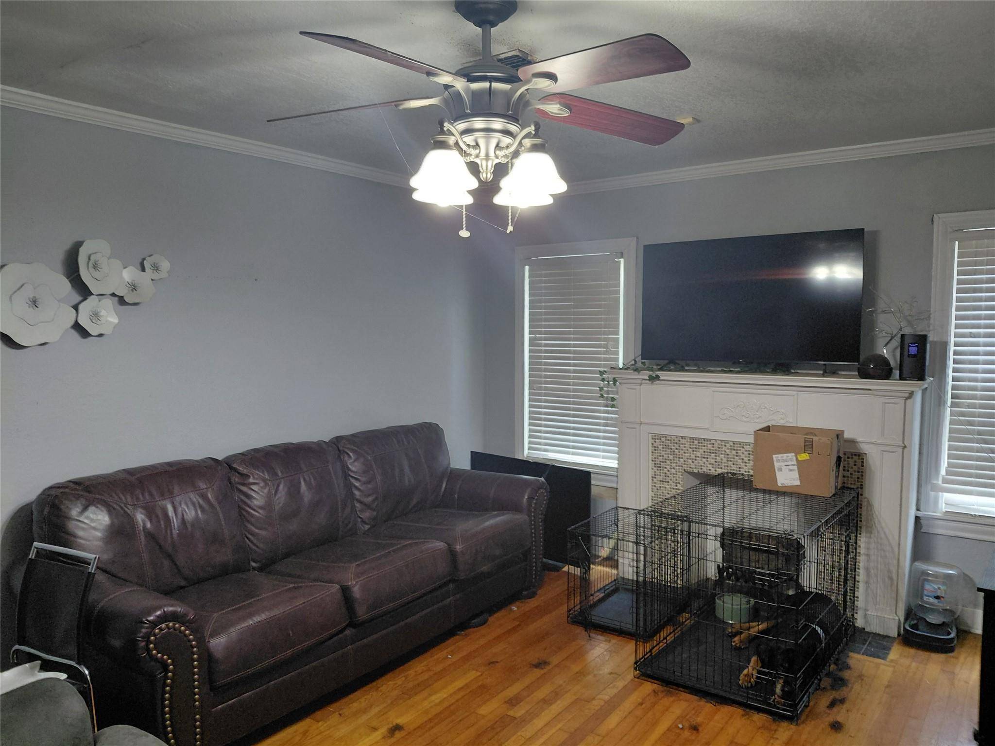 808 W Lee Ave, Kingsville, TX 78363