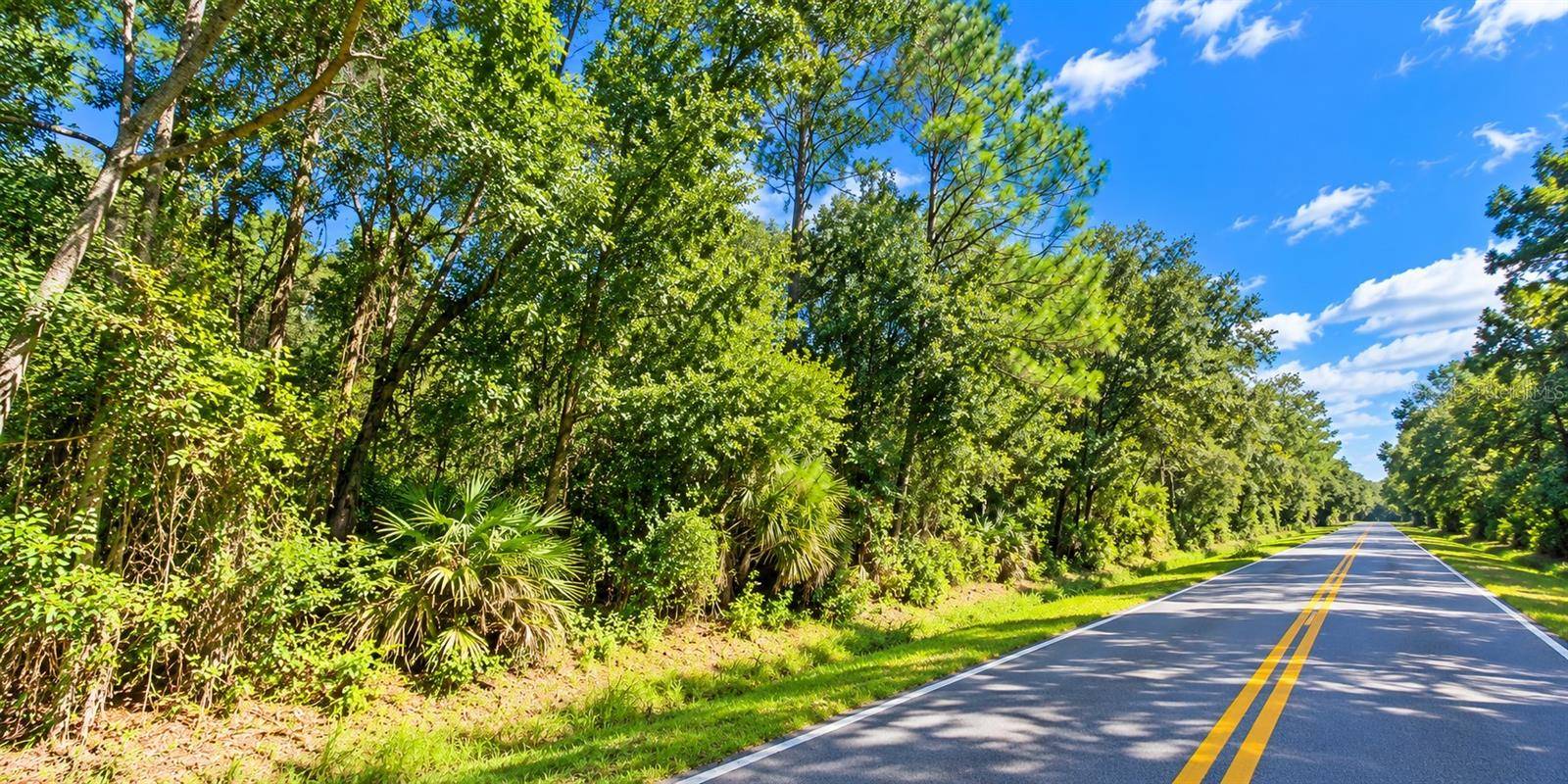0 OLD KISSIMMEE RD, Davenport, FL 33896