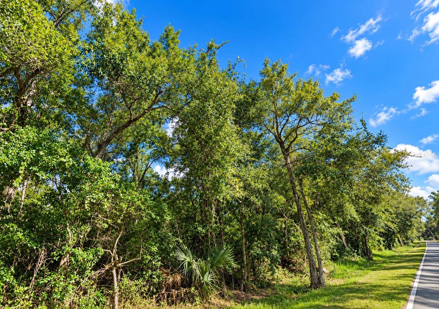 0 OLD KISSIMMEE RD, Davenport, FL 33896