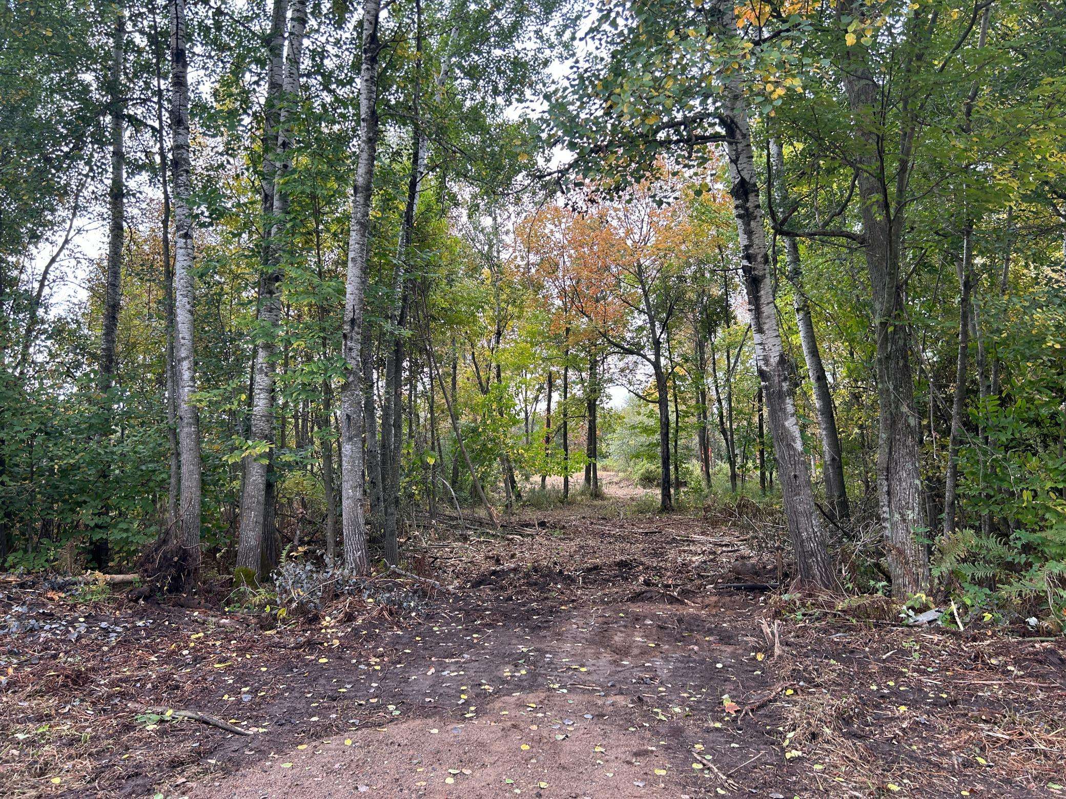 TBD 250th ST, Aitkin, MN 56431