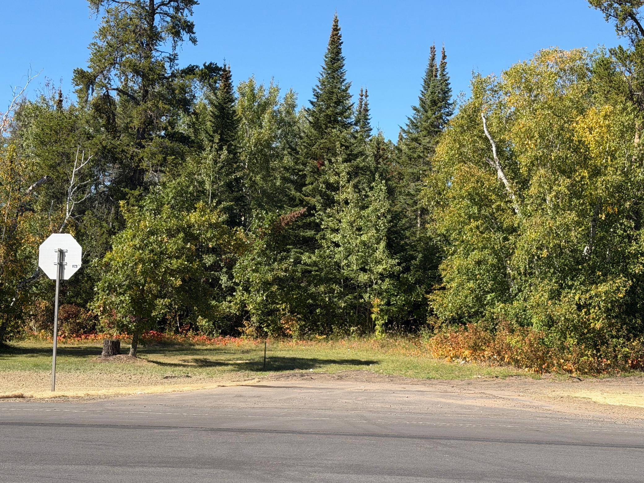 TBD State Highway 11, Warroad, MN 56763