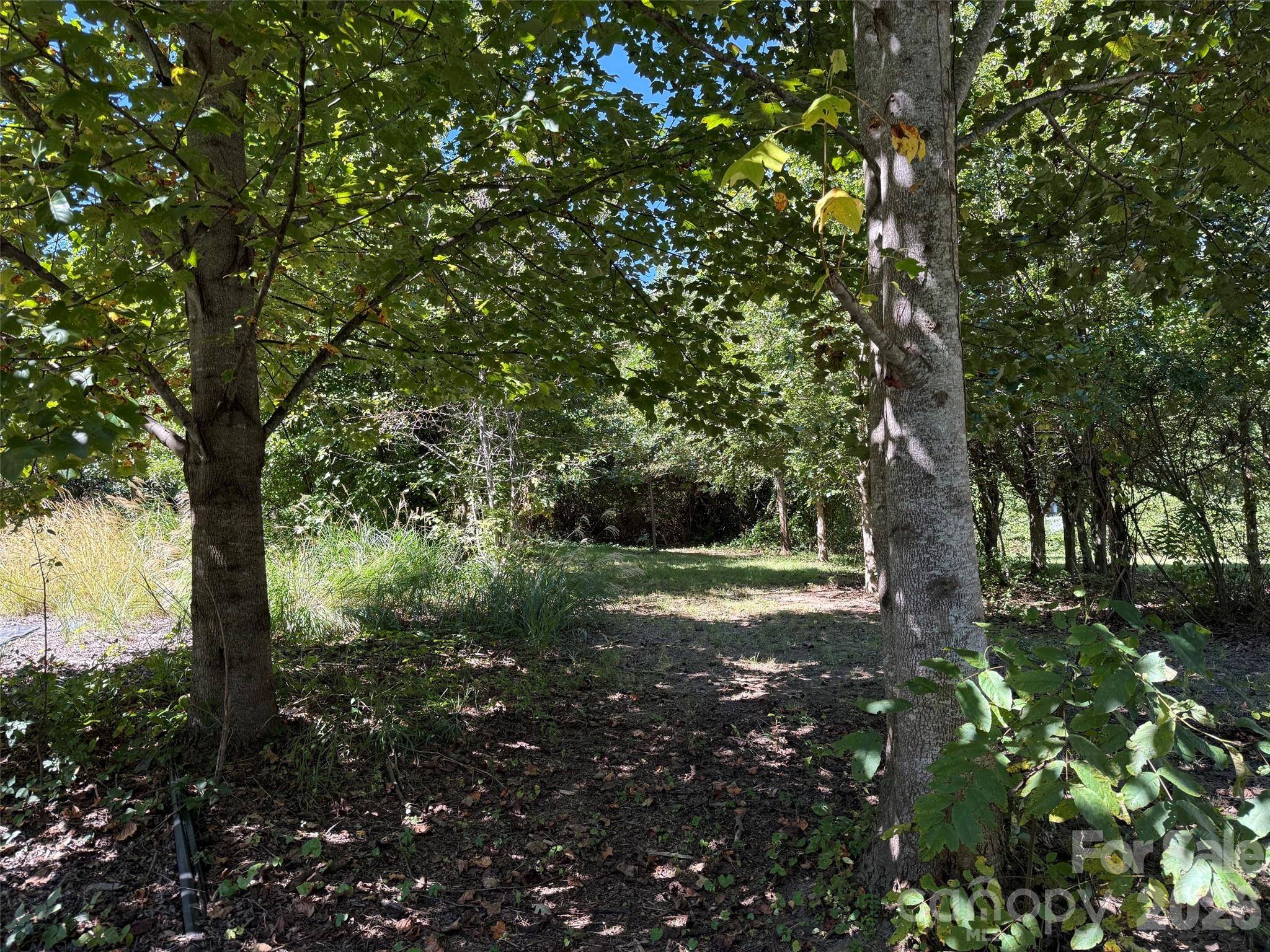 Lot A Bronco PASS, East Flat Rock, NC 28726