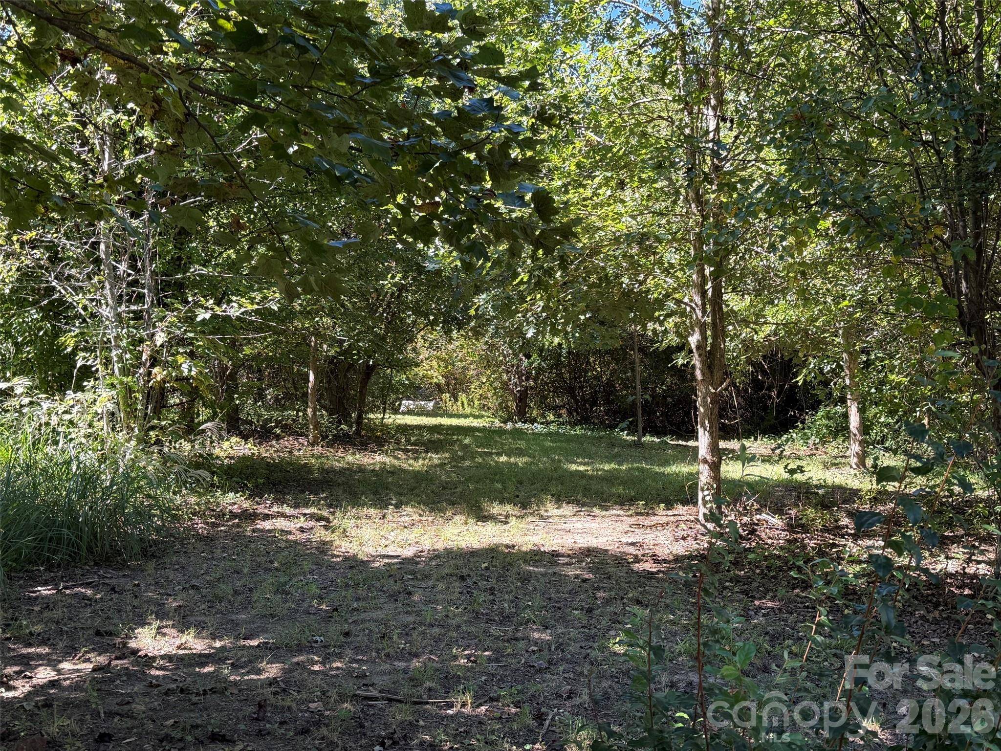 Lot A Bronco PASS, East Flat Rock, NC 28726