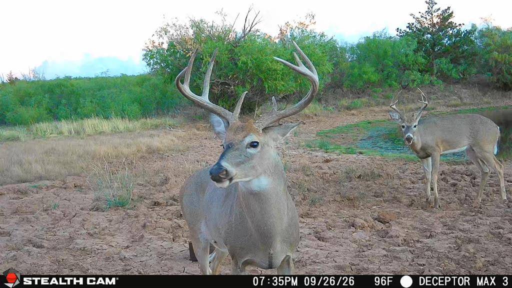 30389 E County Road 1360 RD, Willow, OK 73673