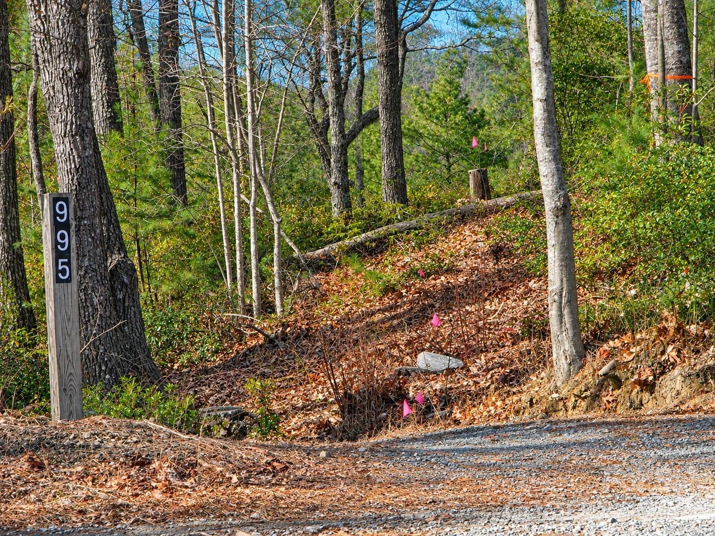 43 Deer Crossing LN #43, Ferguson, NC 28624