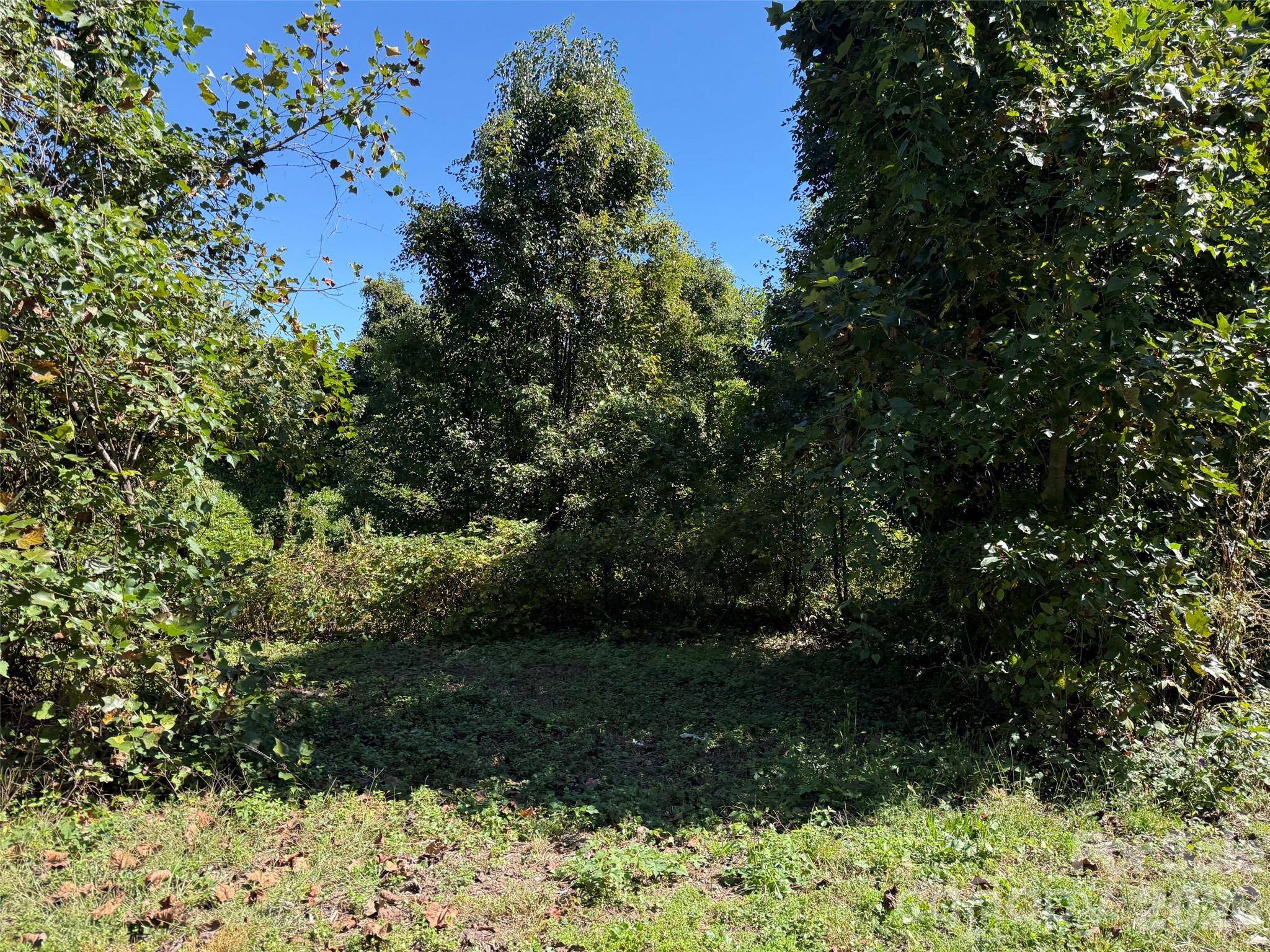 Lot 4 Bronco PASS, East Flat Rock, NC 28731