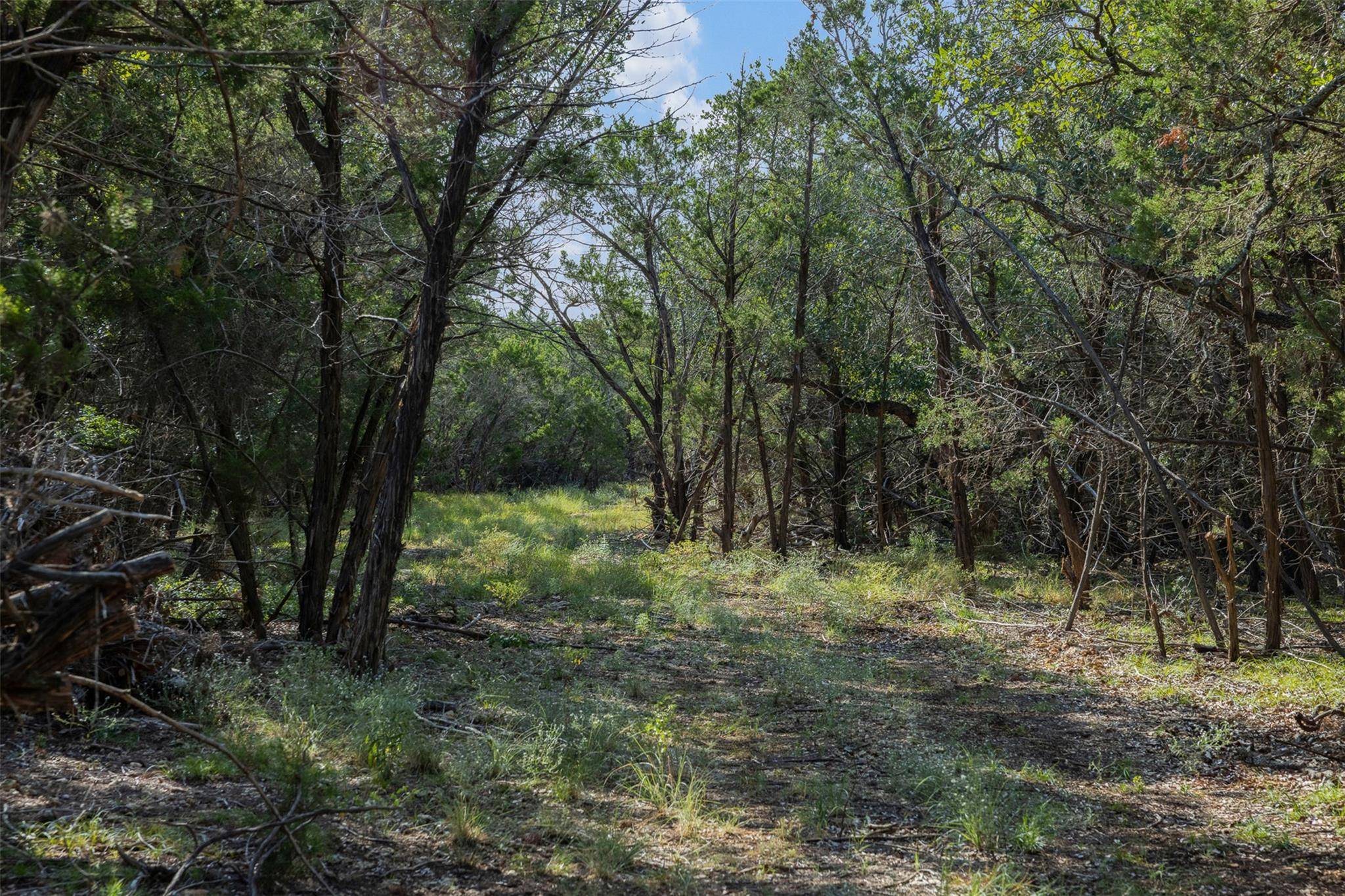 601 Mount Olive School RD, Wimberley, TX 78676