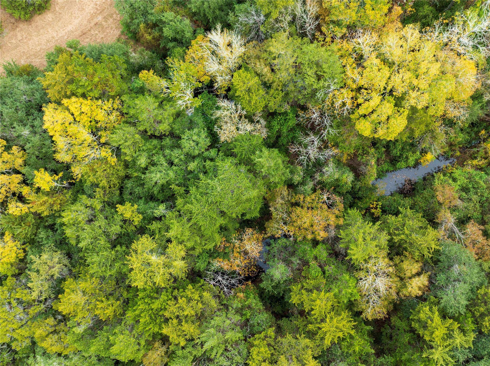 TBD Ladewig, Schulenburg, TX 78956