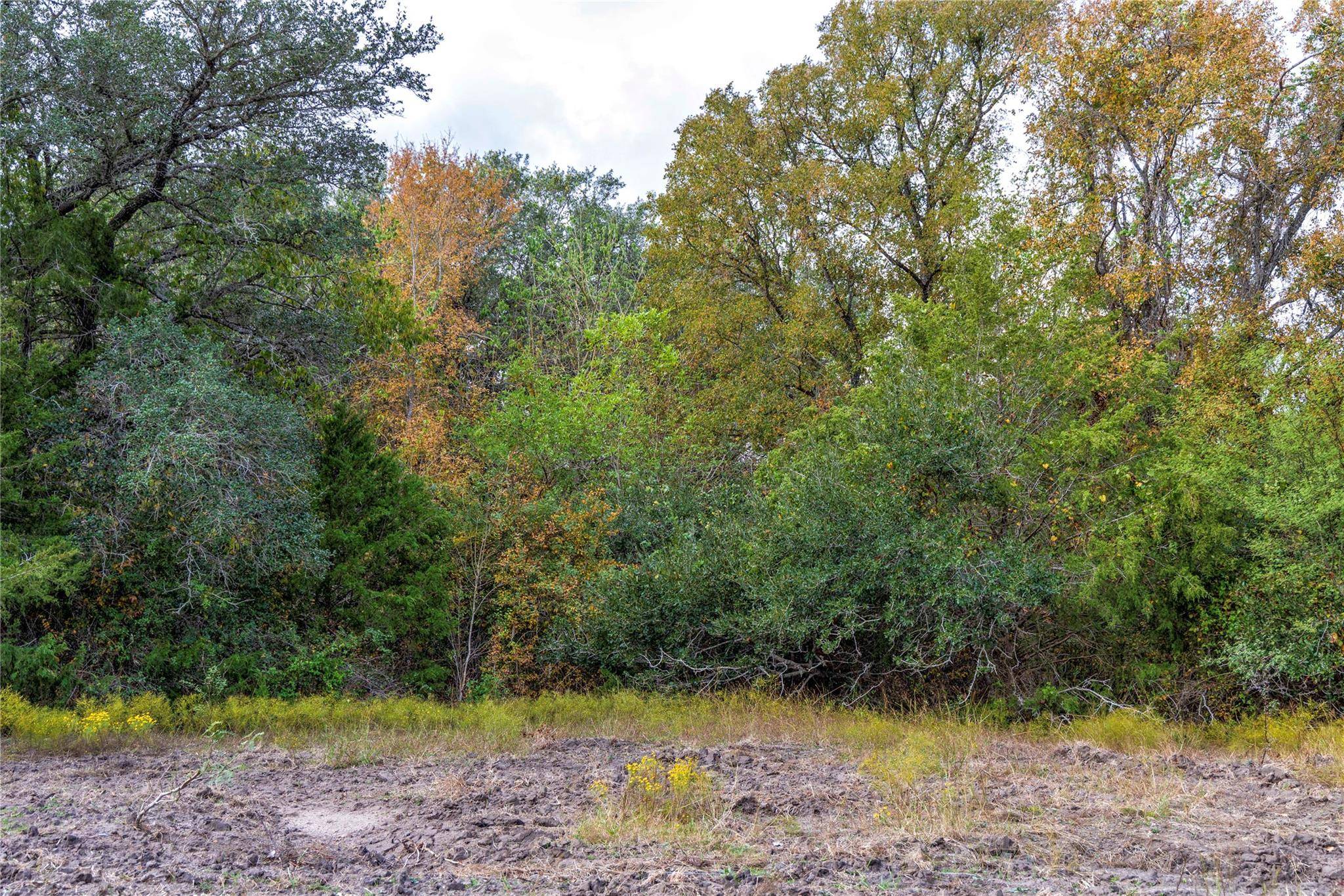TBD Ladewig, Schulenburg, TX 78956