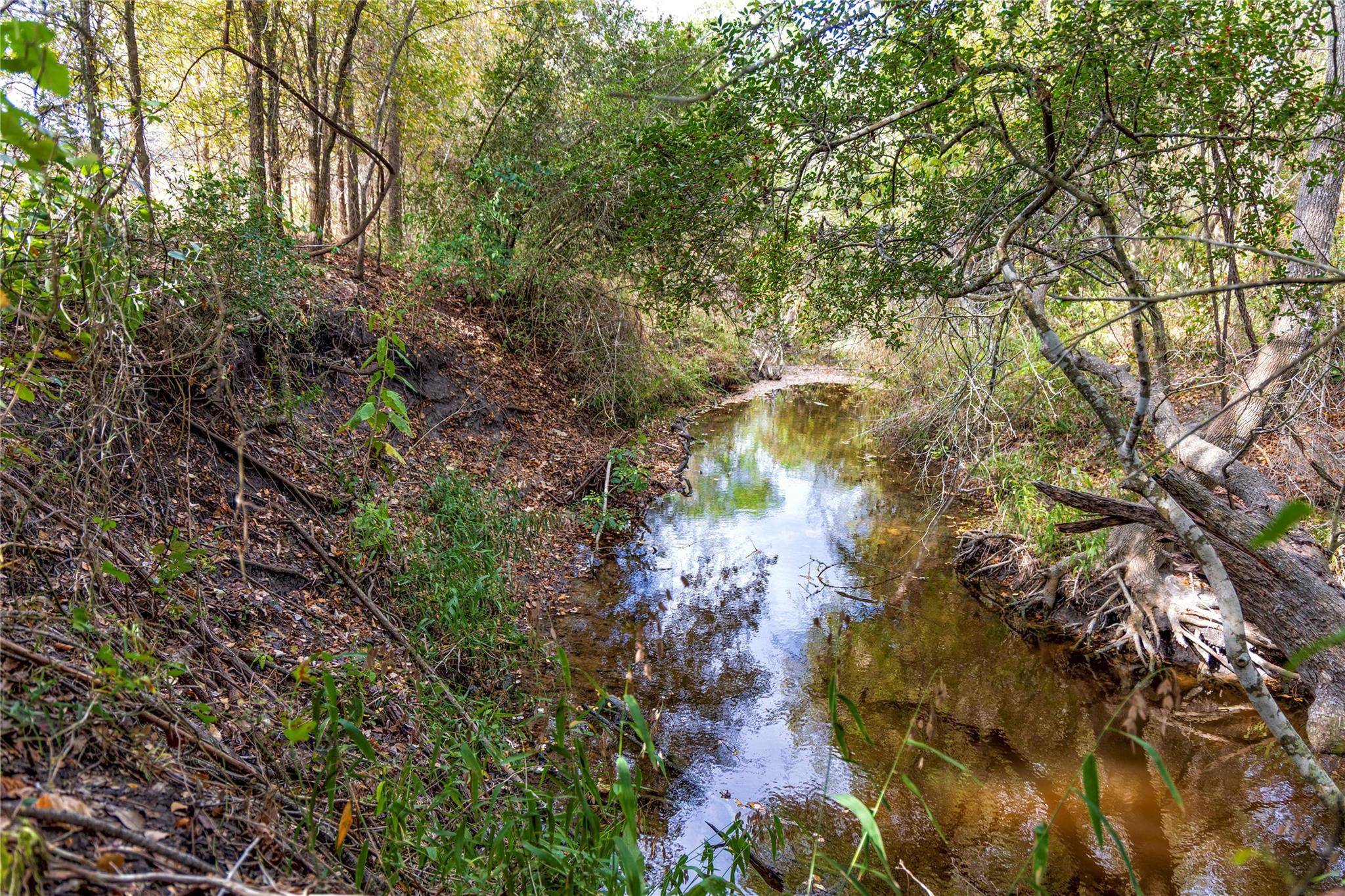 TBD Ladewig, Schulenburg, TX 78956