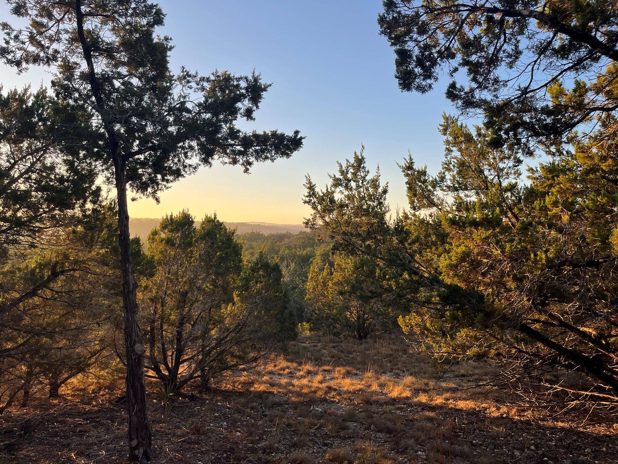 TBD Lost Oak TRL, Johnson City, TX 78636