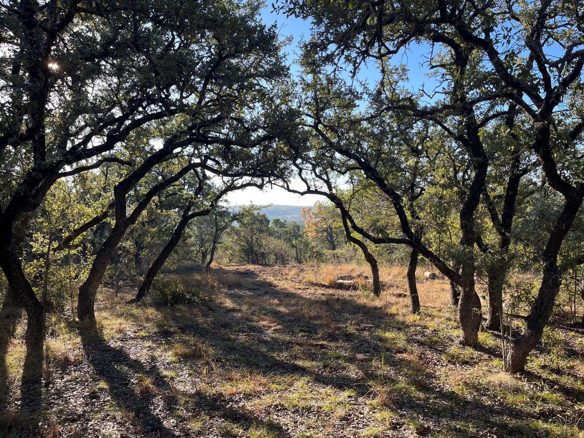 TBD Lost Oak TRL, Johnson City, TX 78636