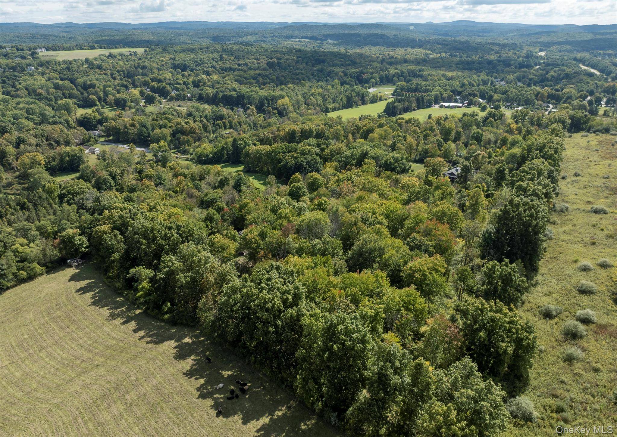 Talleur LN, Clinton Corners, NY 12514