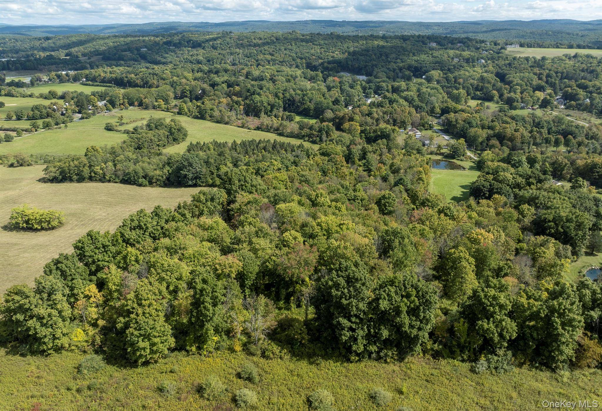 Talleur LN, Clinton Corners, NY 12514