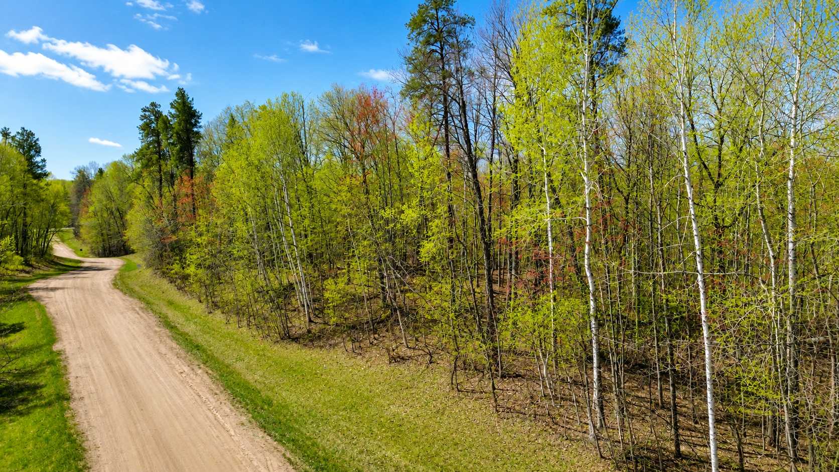 TBD Raccoon and Flower Trail, Breezy Point, MN 56472