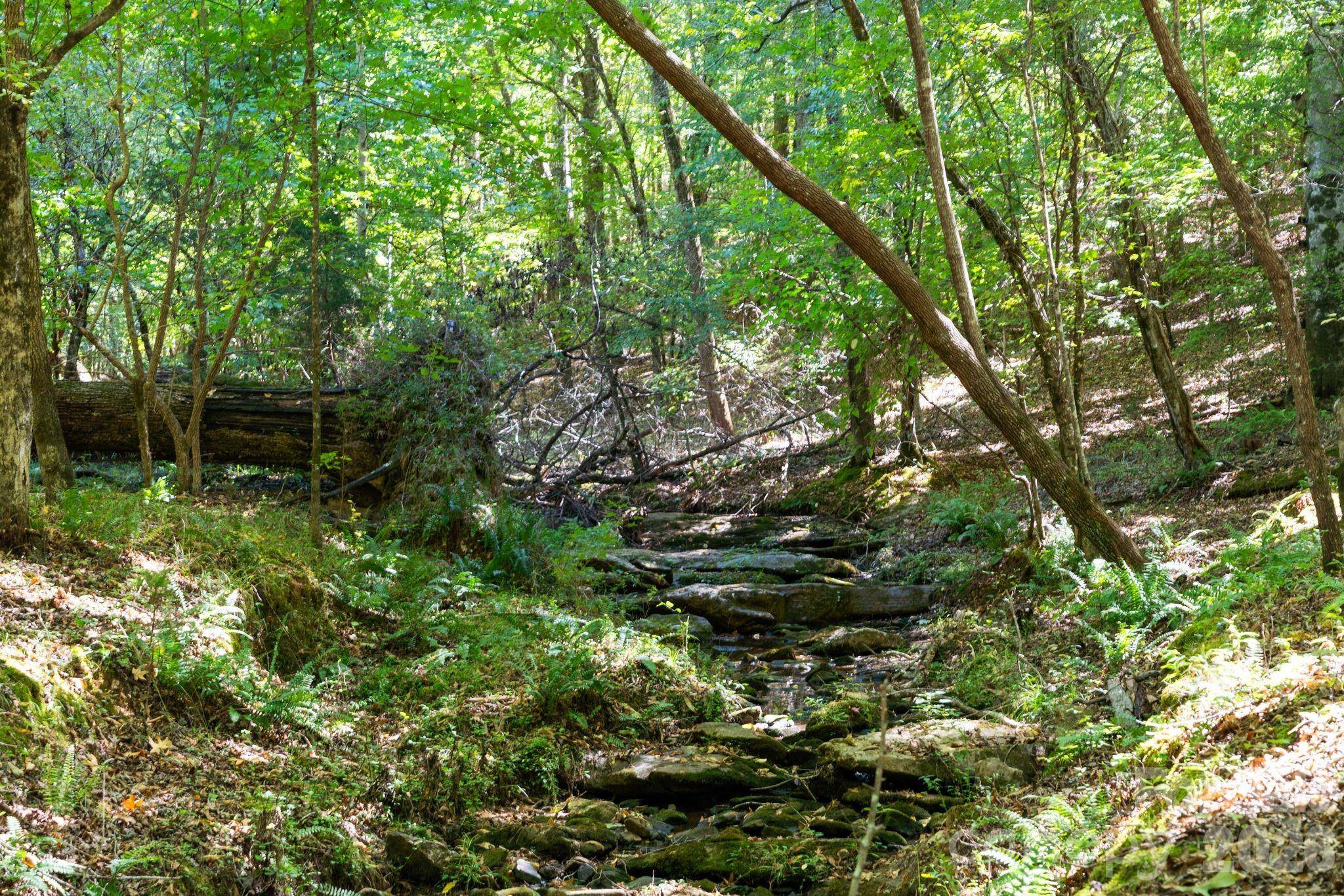 0000 Hwy 215 HWY N, Blair, SC 29015