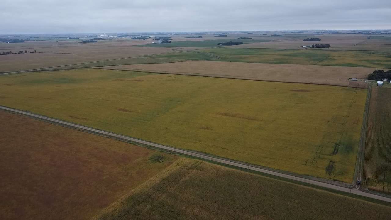 86595 280th ST, Danube, MN 56230