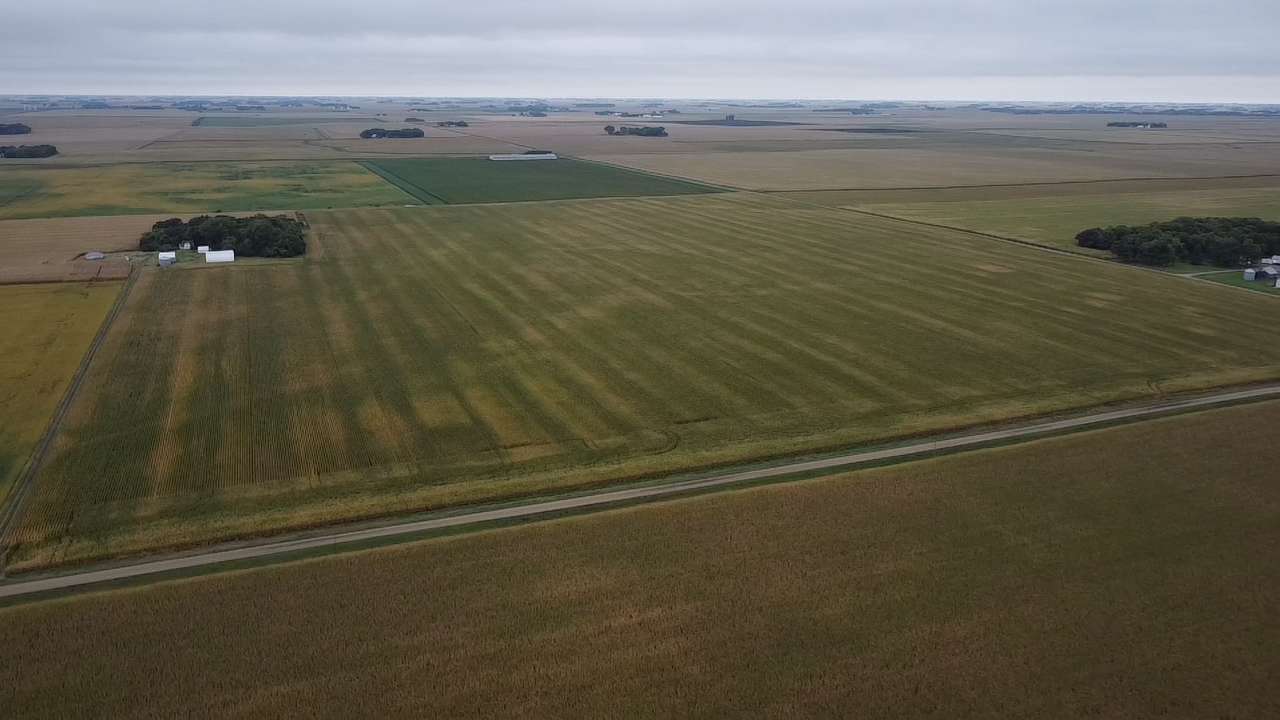 86595 280th ST, Danube, MN 56230