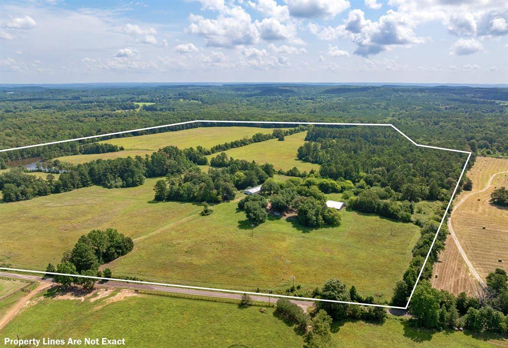 8468 Hydrangea Road, Ore City, TX 75683