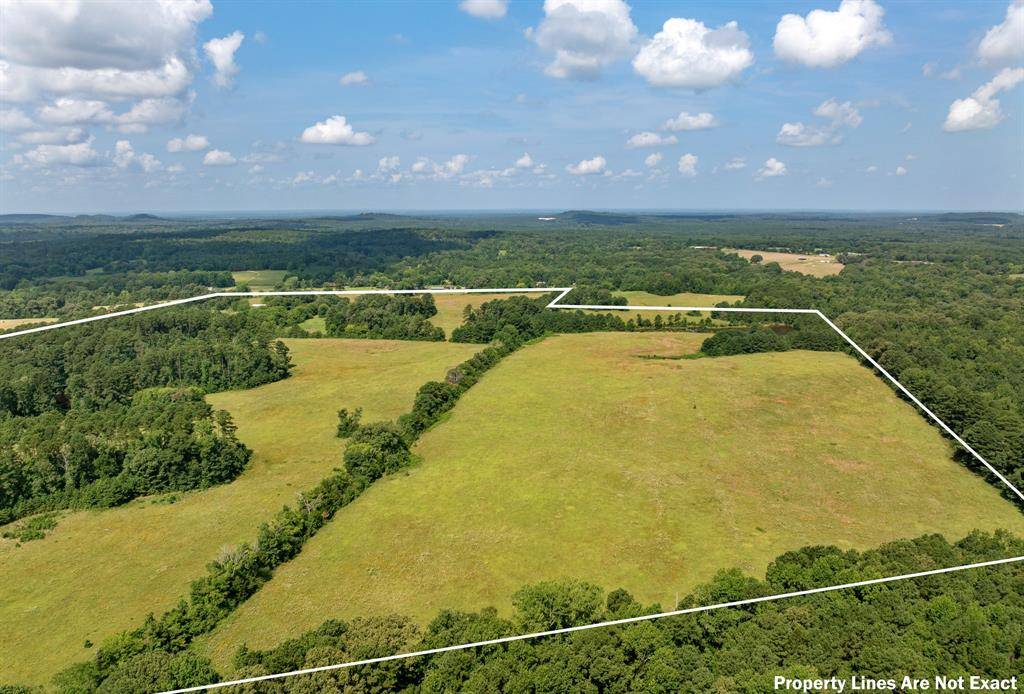 8468 Hydrangea Road, Ore City, TX 75683