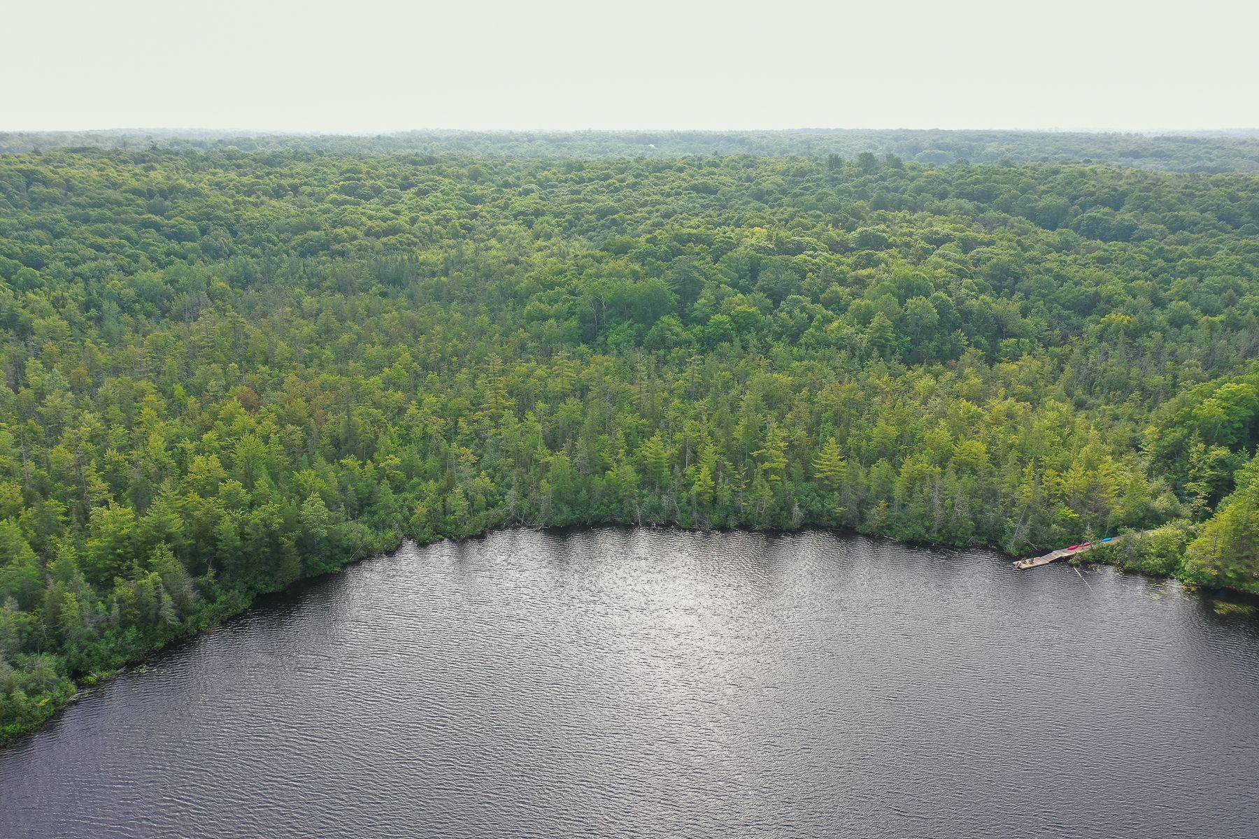1160 Butterfly RD, Muskoka Lakes, ON P0B 1J0
