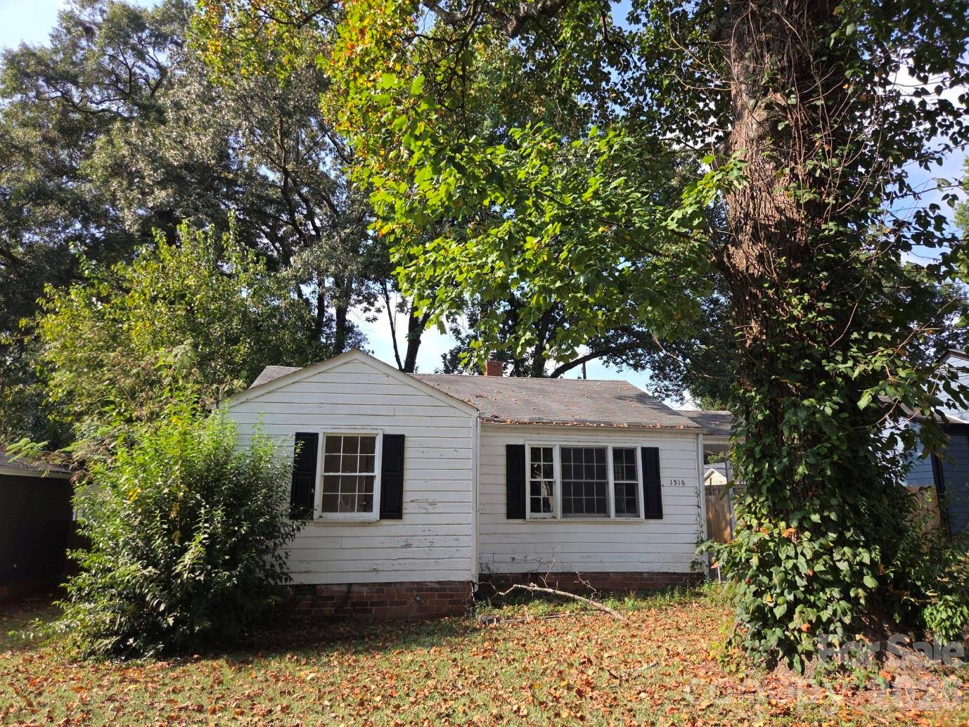 1516 Herrin AVE, Charlotte, NC 28205