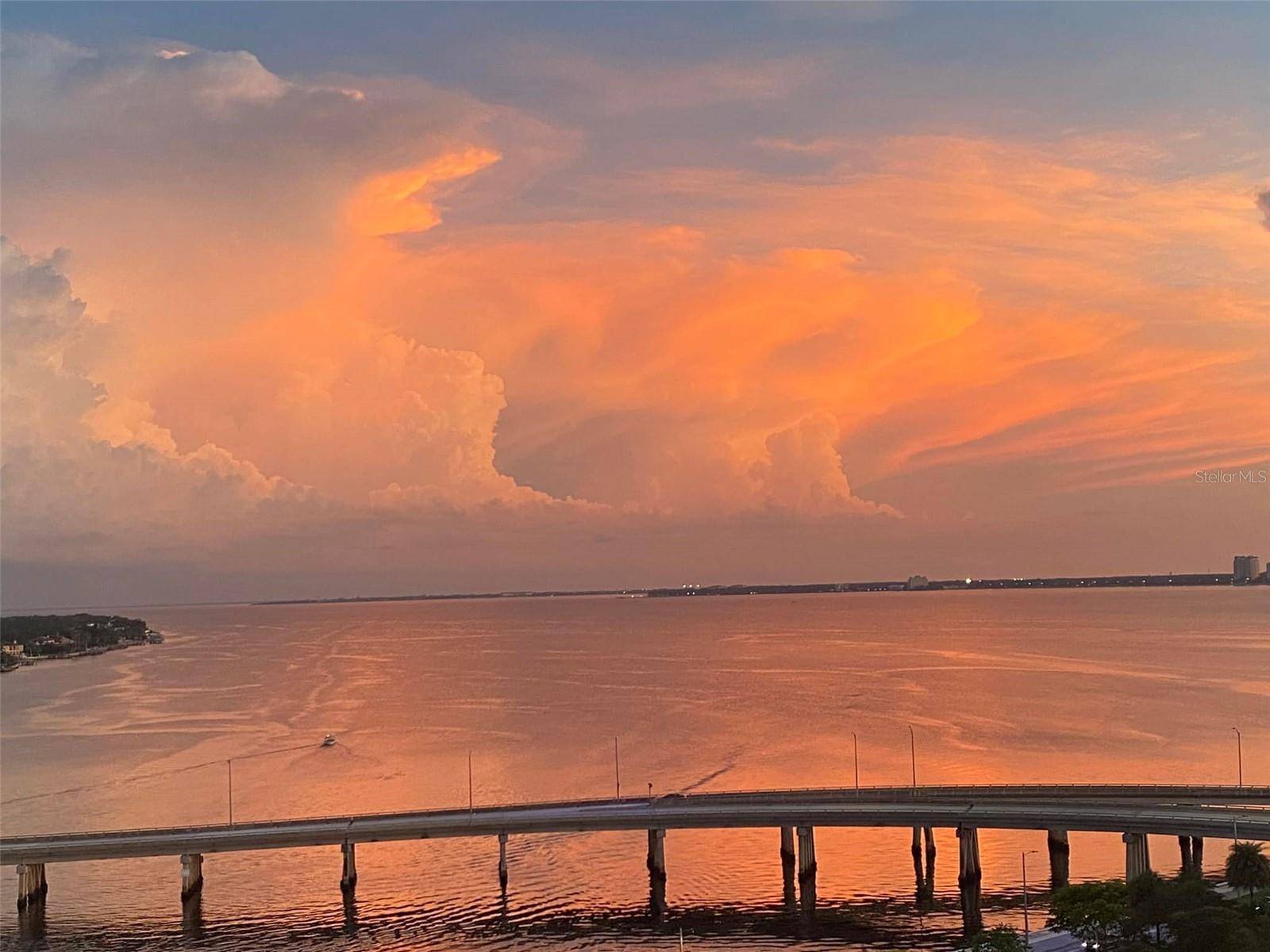 345 BAYSHORE BLVD #1203, Tampa, FL 33606