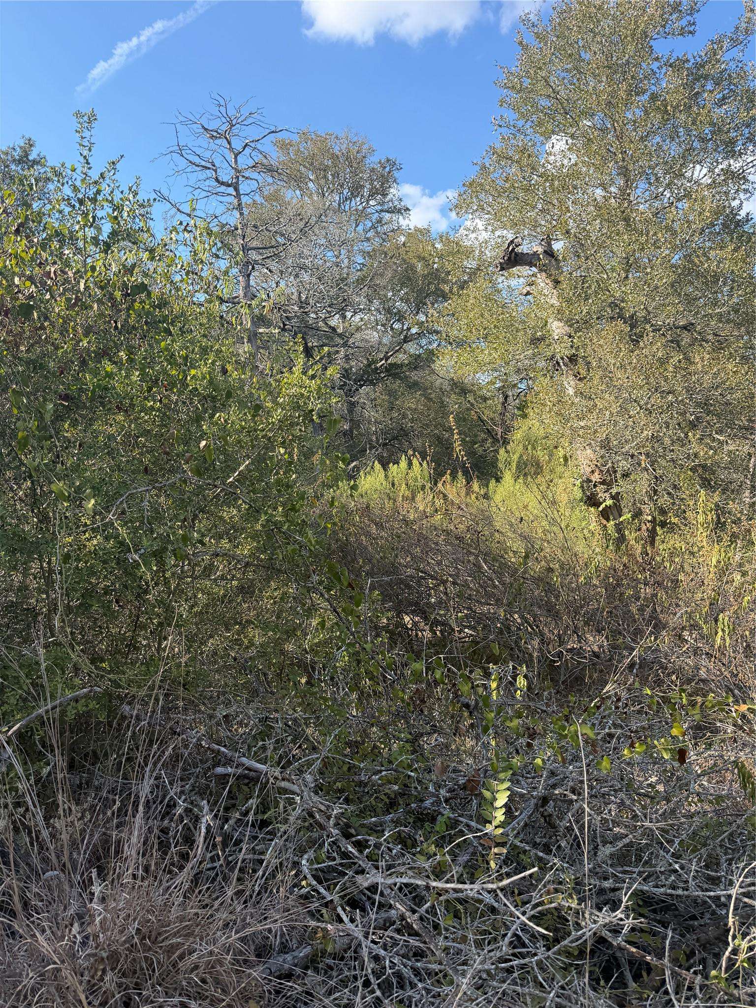 Lot 539 Palikea CIR, Bastrop, TX 78602