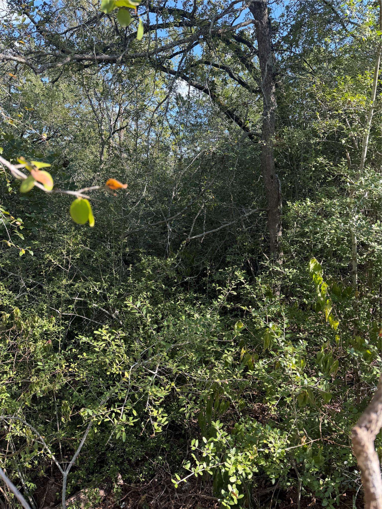 Lot 189 Kaelupulu DR, Bastrop, TX 78602