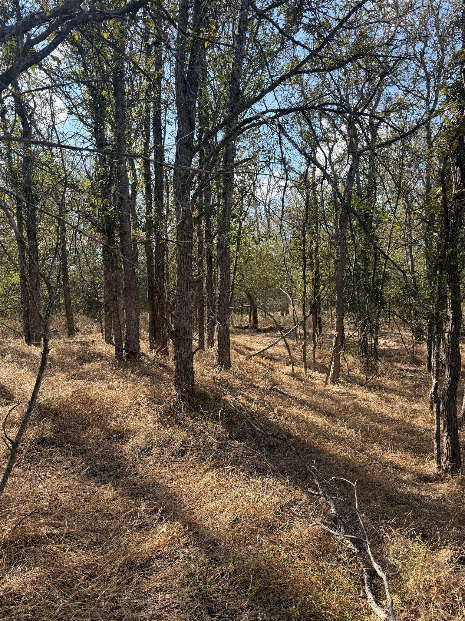 Lot 118 W Keomuku LN, Bastrop, TX 78602