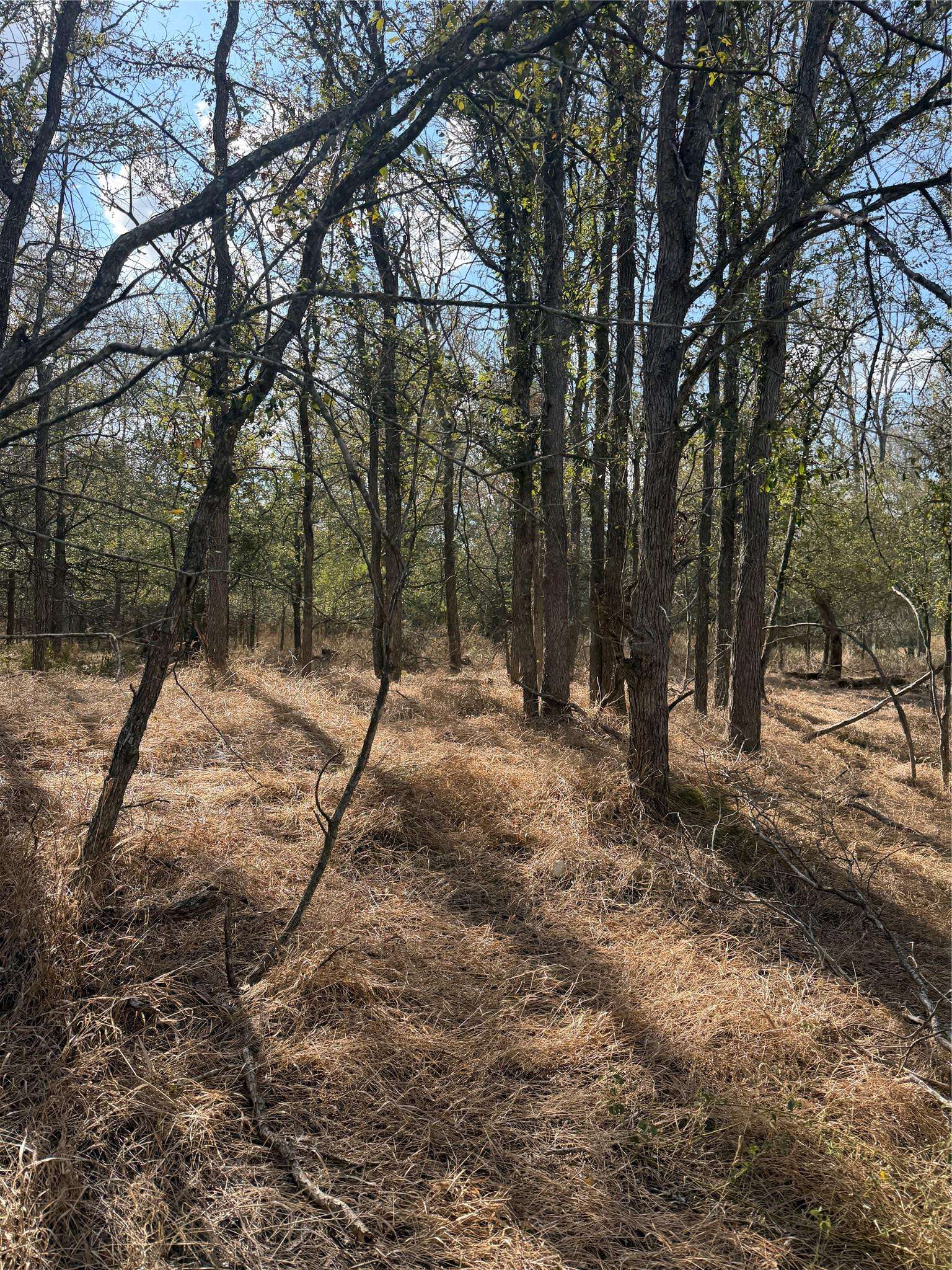 Lot 118 W Keomuku LN, Bastrop, TX 78602