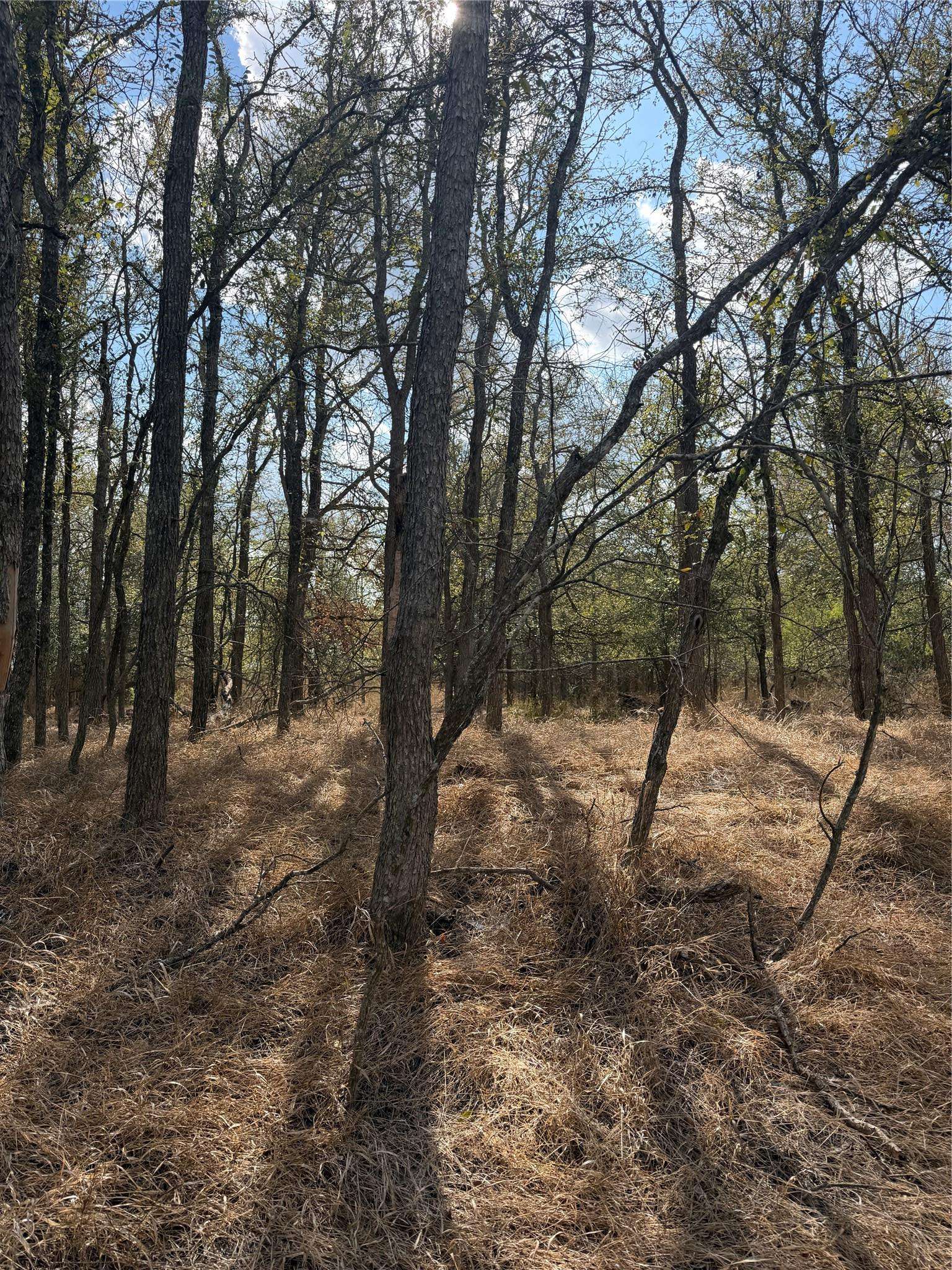Lot 118 W Keomuku LN, Bastrop, TX 78602