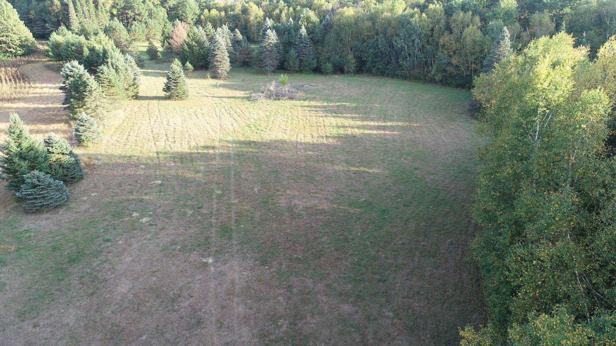 XXXX 217th AVE NE, Linwood Twp, MN 55005