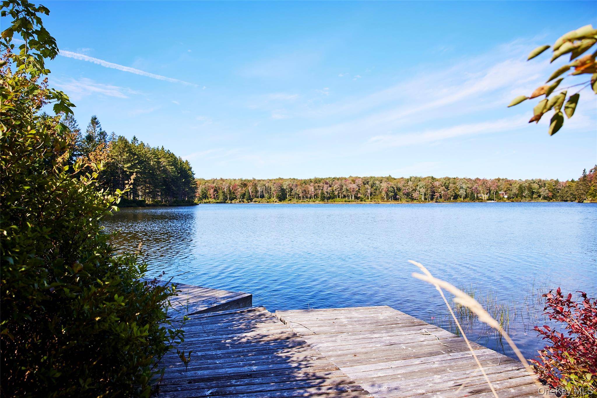 452 White Roe Lake RD, Livingston Manor, NY 12758