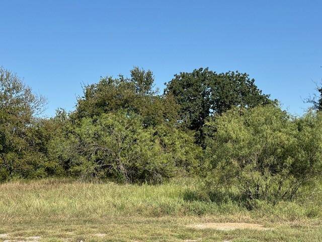31033 Doe Run Court, Whitney, TX 76692