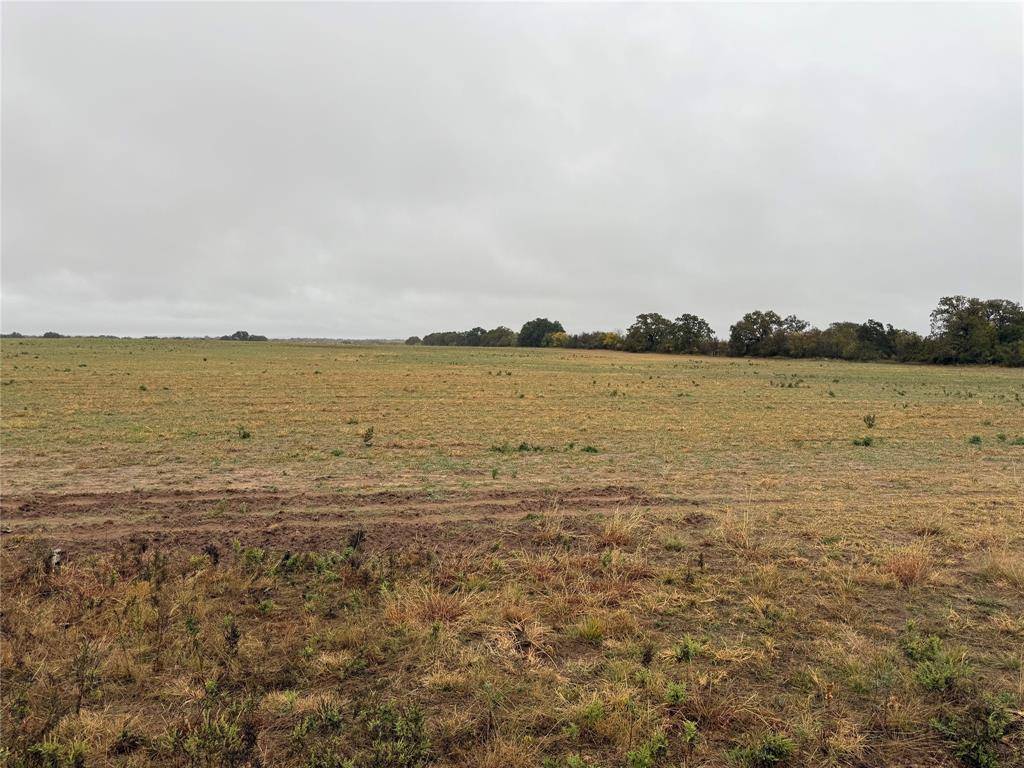 Tract 1 TBD FM 1178, Clyde, TX 79510