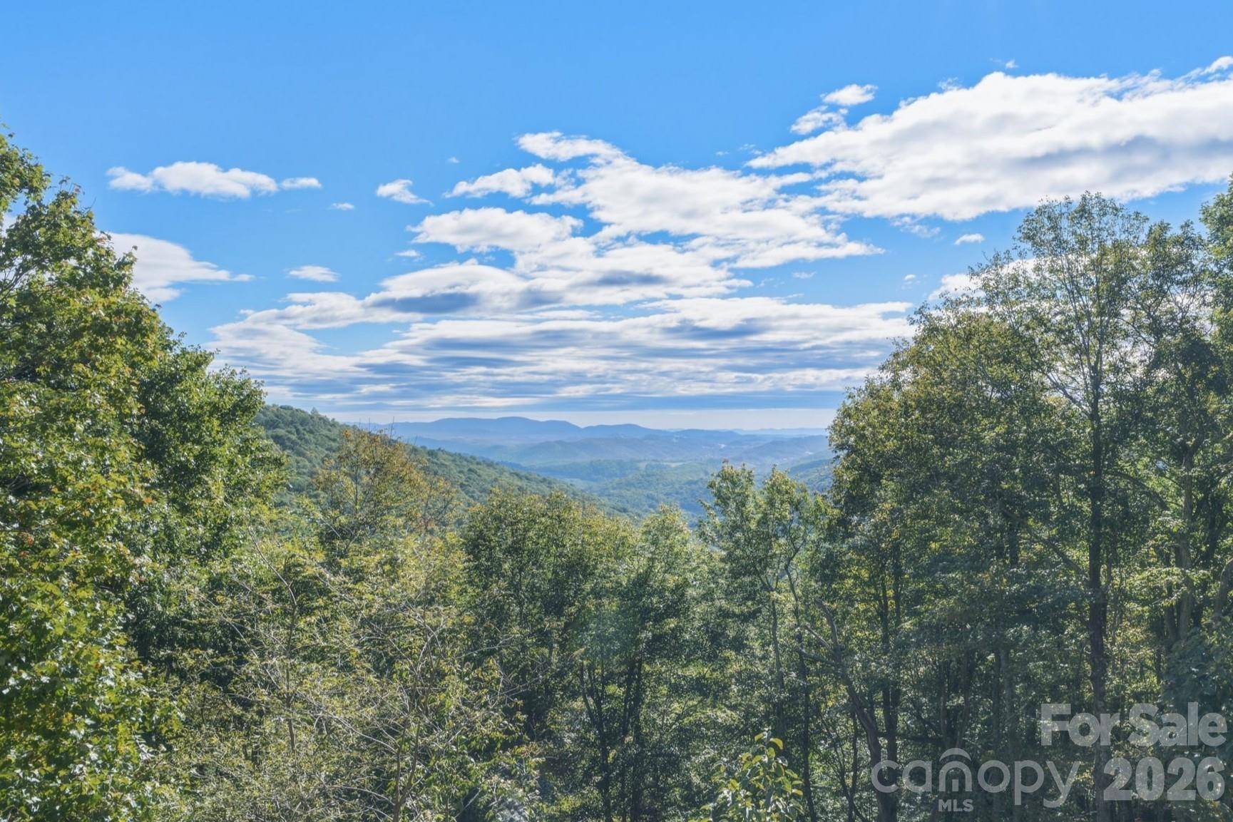 148 Sunny Chestnut Forest None, Boone, NC 28607