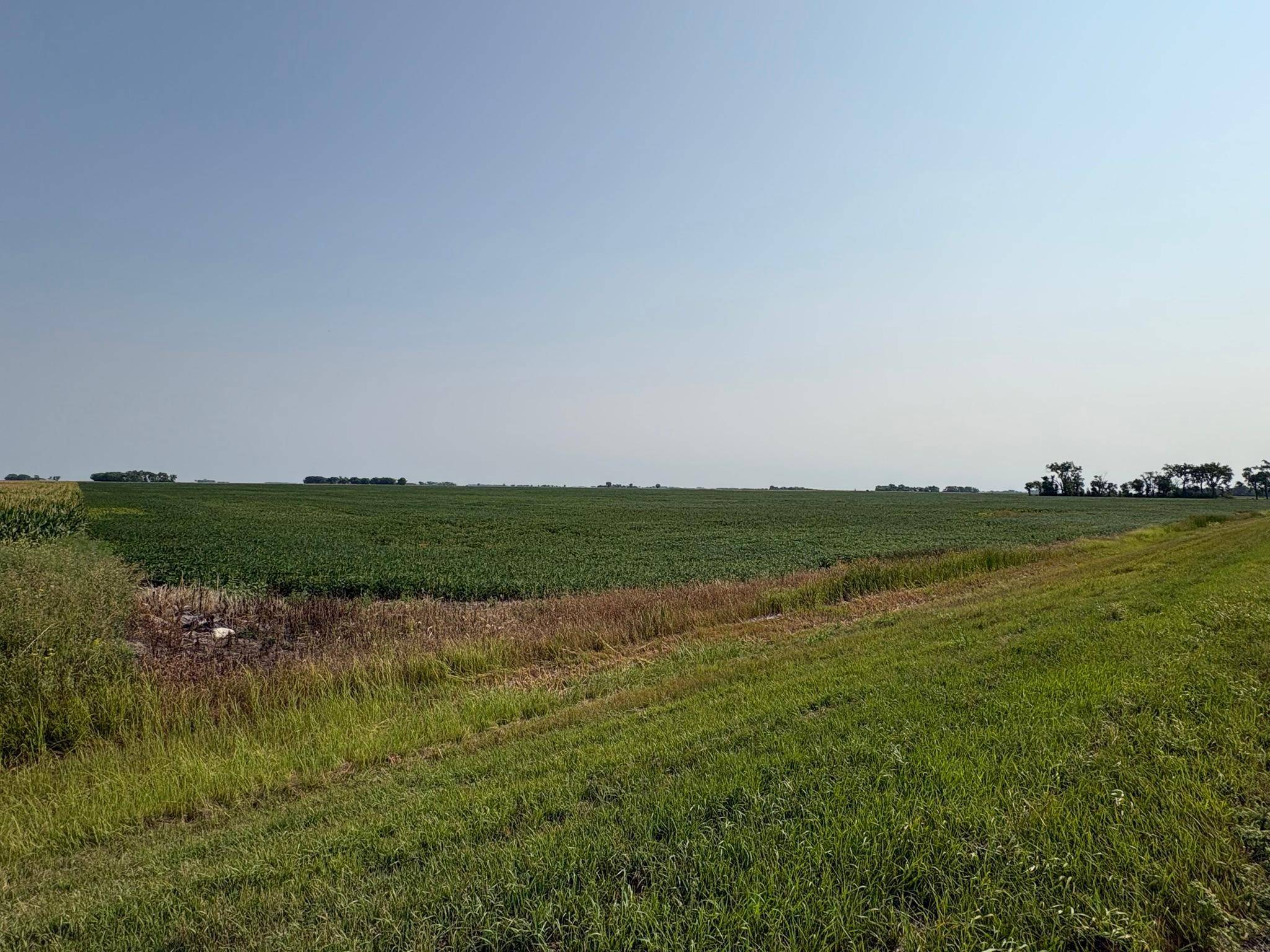 1 County Rd. 3, Shelly, MN 56581