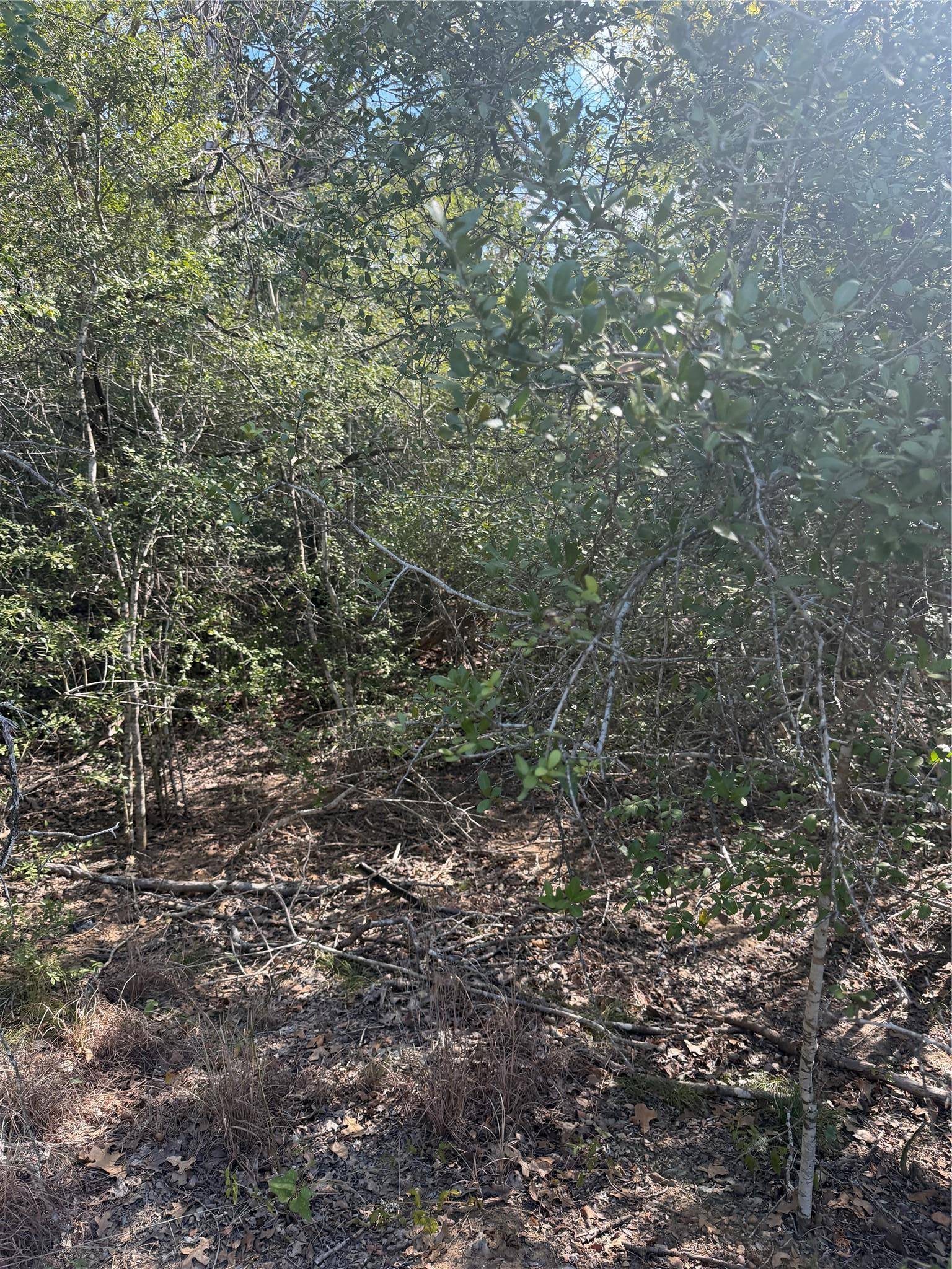 251 Iva LN, Bastrop, TX 78602