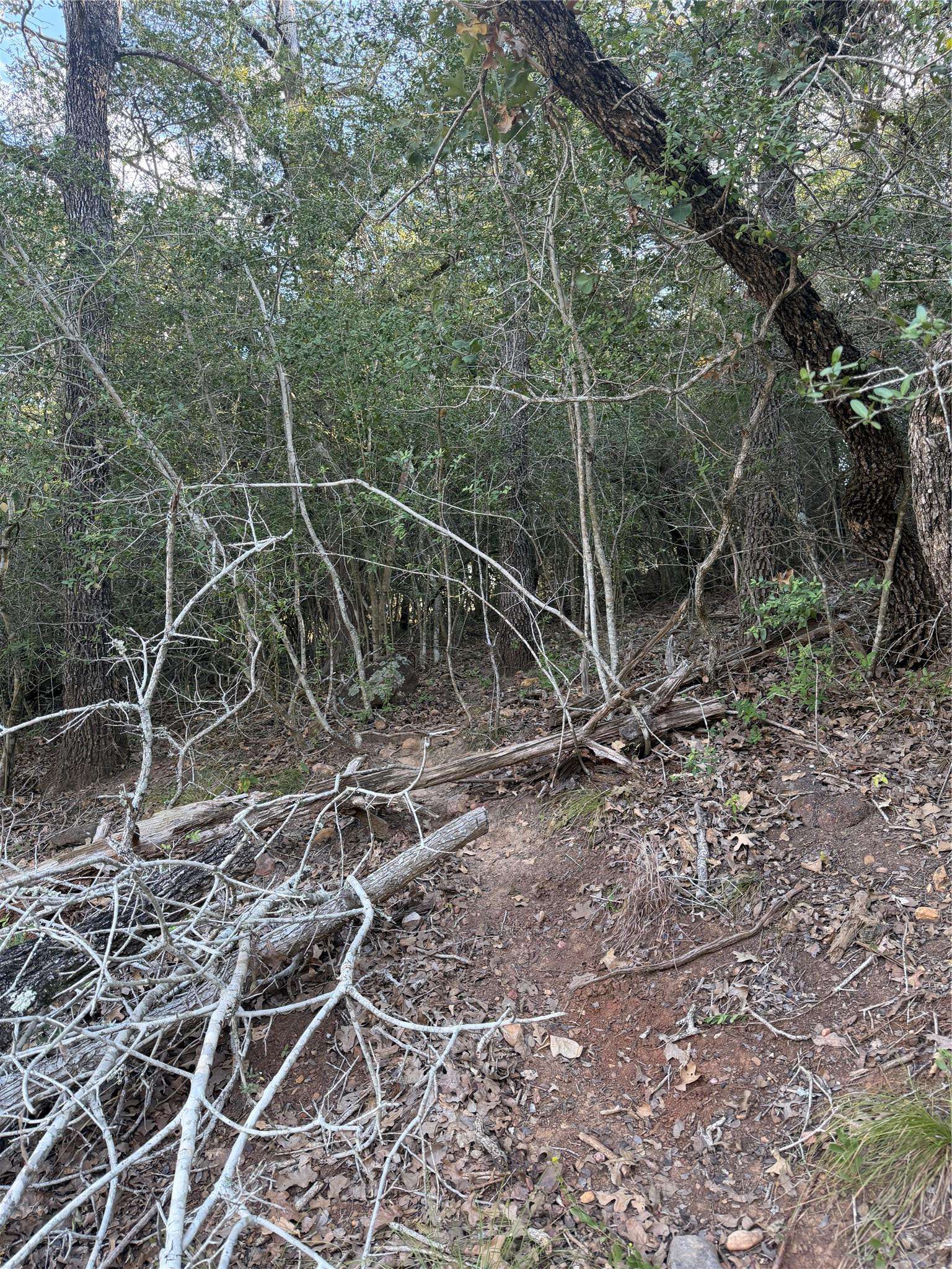 Lot 376 Palikea CIR, Bastrop, TX 78602