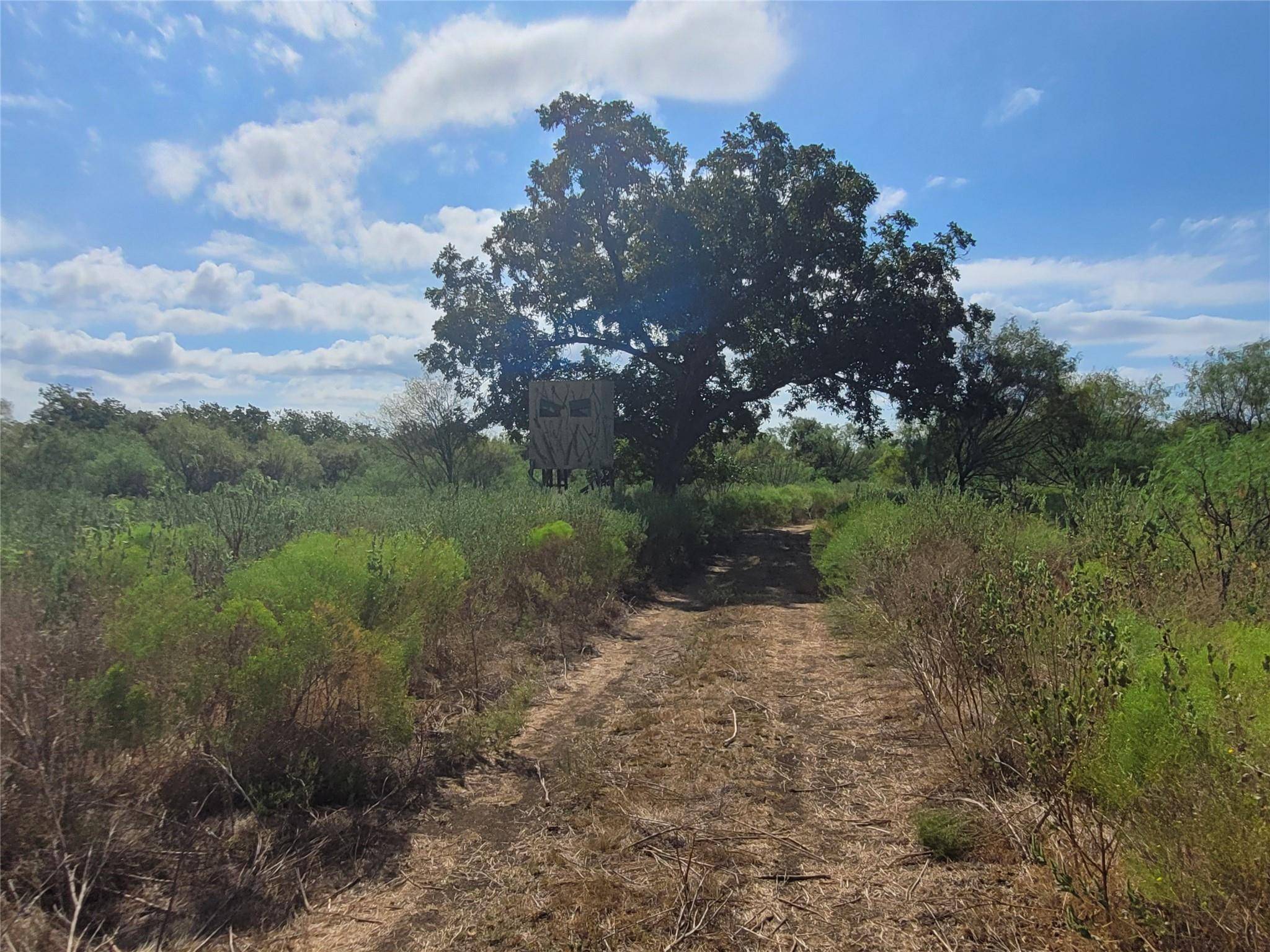 14426 County Road 211, Brookesmith, TX 76827